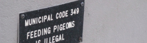 municipal ordinance- don't feed pigeons